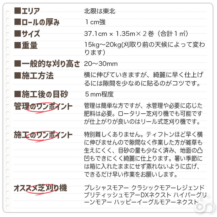 野芝ってどんな芝？