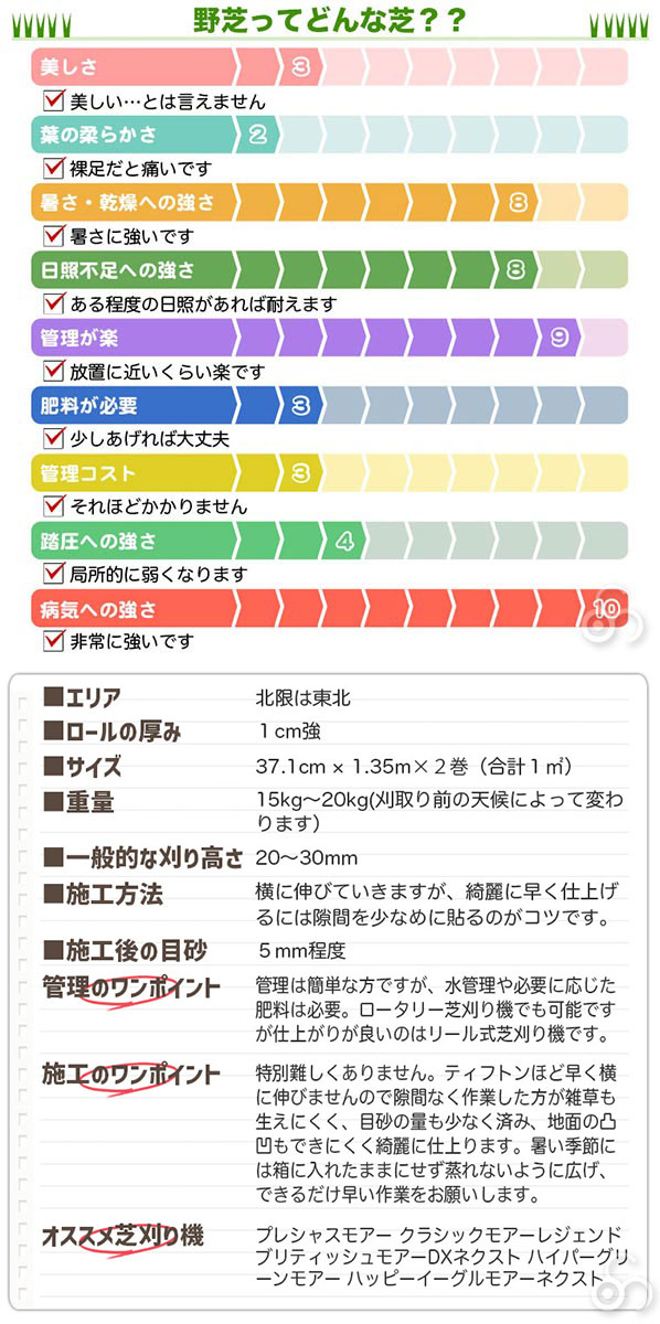 芝生 天然芝 野芝(ノシバ) ロール巻 (芝生 通販) : 101000 : サンワ