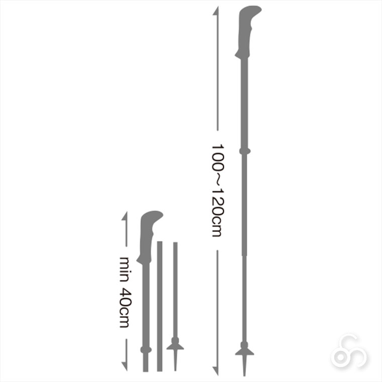LEKI LEKI(レキ) クレシダ FXカーボン AS 100-120cm ハイキング