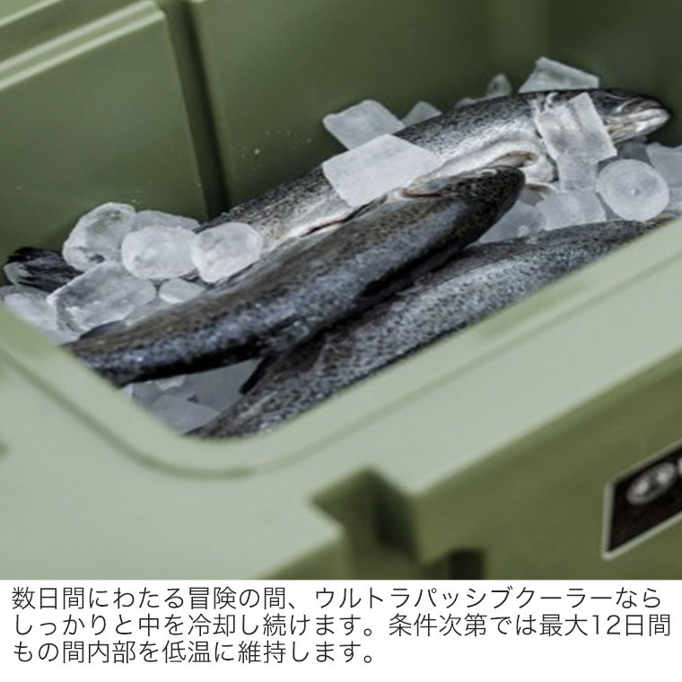 Petromax - 未使用 ペトロマックス Petromax ウルトラパッシブクーラー kx50 Oliv オリーブ 50L クーラーボックス キャンプ 釣り アウトドア 13697.jpg