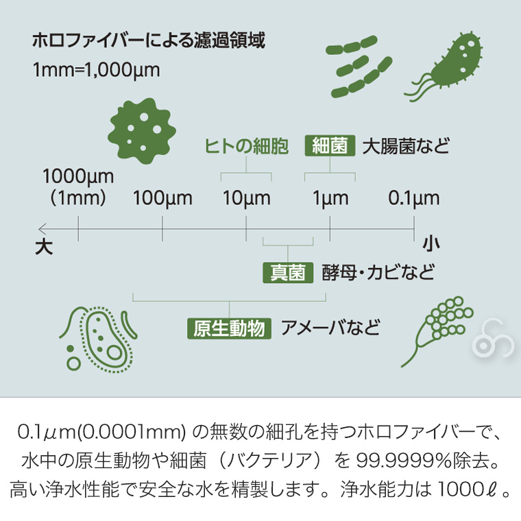 カタダイン ビーフリーAC 1.0L ブラック 14072 ポータブル 浄水器 活性炭フィルター ハイドラパック ソフトフラスク アウトドア キャンプ 災害 避難 緊急時