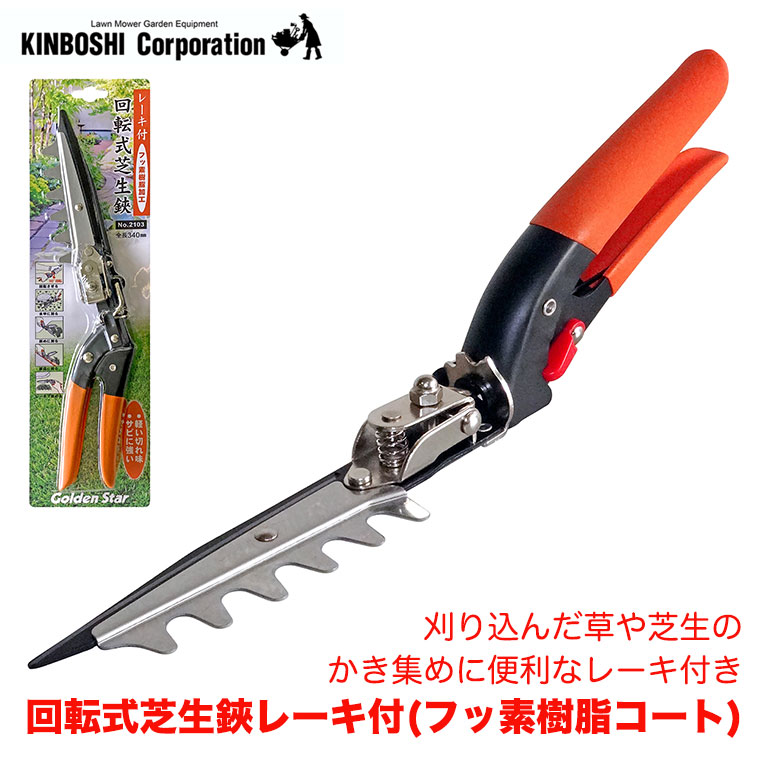 フシギダネ フシギソウ フシギバナ リバースホロセット 高品質の人気 フシギダネ フシギソウ フシギバナ リバースホロ