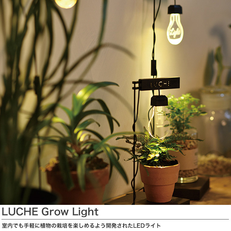 めざましテレビ 植物用LEDライト ルーチェ LUCHE Grow Light 照明 育成 栽培 42019 :42019:サンワショッピング -  通販 - Yahoo!ショッピング