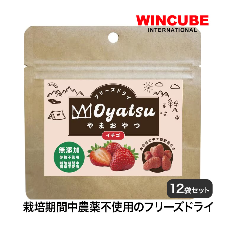 福袋・半額ポスター - クリーニング屋さん専用の通 やまおやつ フリーズドライ フルーツ イチゴ 10g 12袋セット 菓子・スナック