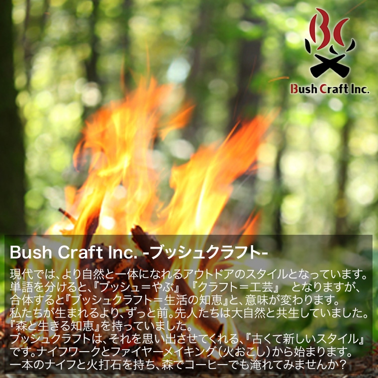 Bush craft（ブッシュクラフト） 旧商品 ブッシュペグ 30cm 6本セット