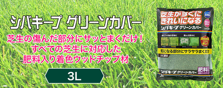 シバキープグリーンカバー 3L 4903471101749