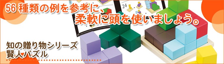 知の贈り物シリーズ 賢人パズル