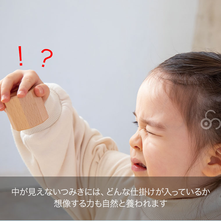(レビュー特典あり) エドインター ジェニ 森のあそび道具 音いっぱいつみきボリュームセット 4941746825051 おもちゃ 知育玩具 1歳 2歳 3歳 男の子 女の子の画像