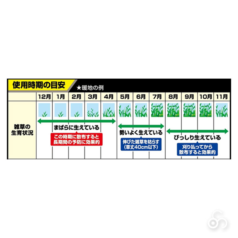 くささん専用 KINCHO園芸 除草剤 クサノンGT粒剤 400g 4975292601661 雑草対策 雑草