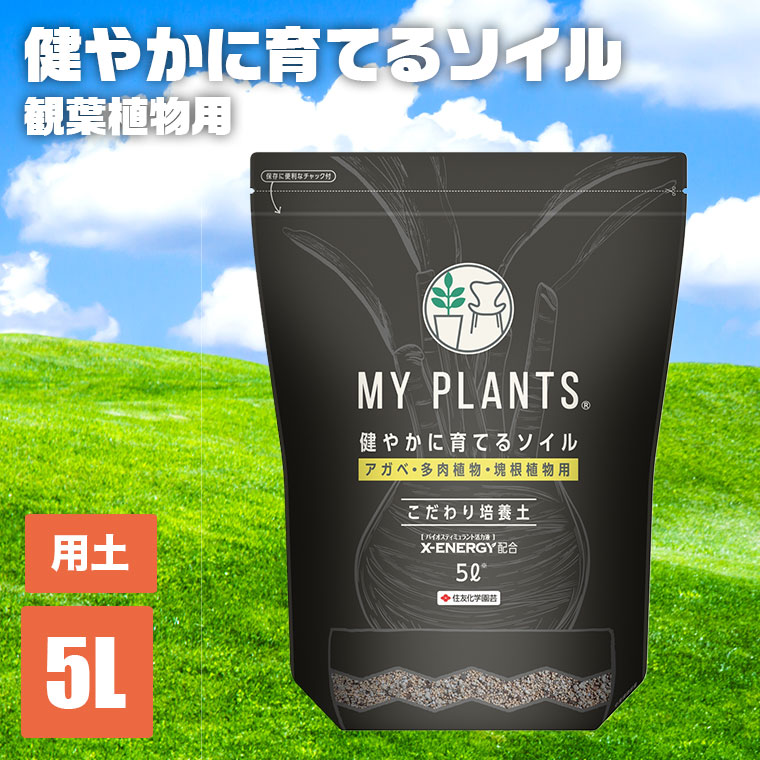 KINCHO園芸 MY PLANTS 健やかに育てるソイル 5L アガベ・多肉植物