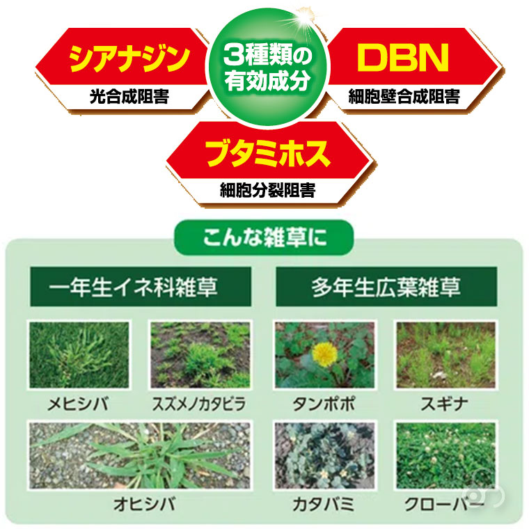 芝生 除草剤 マイターフ シバニードロング粒剤 1.4? 4975292604853