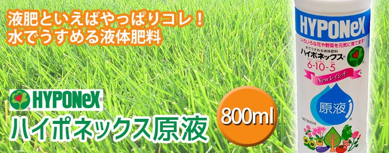 芝生 肥料 ハイポネックス原液 800ml 4977517180036 :4977517180036:サンワショッピング 通販  