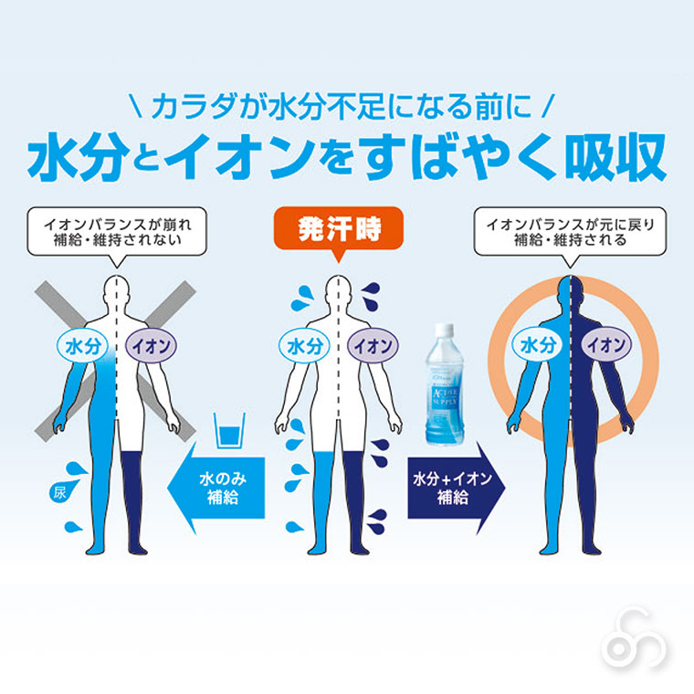 五洲薬品 アクティブサプライ 500ml×24本 4987332405801