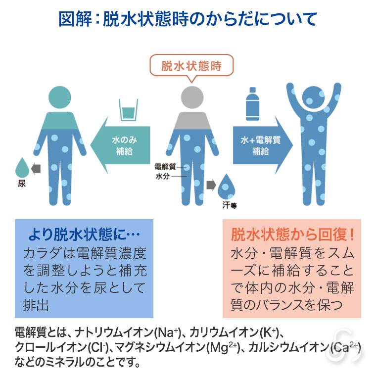 (レビュー特典あり) 五洲薬品 経口補水液 G...の詳細画像5