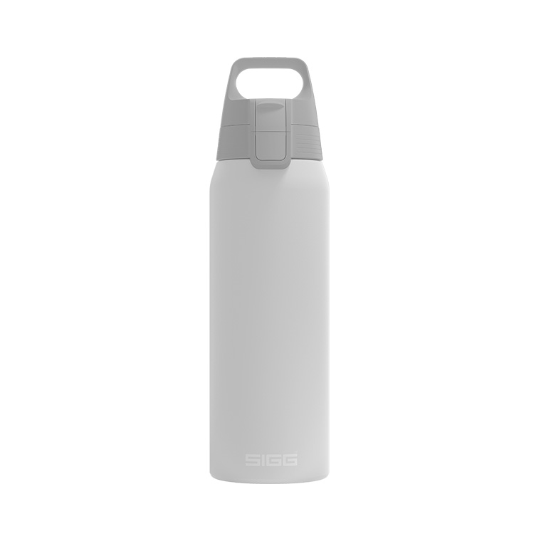 LOEWE Paula's Ibiza ロエベ 水筒 SIGG ウォーターボトル LOEWE Paula