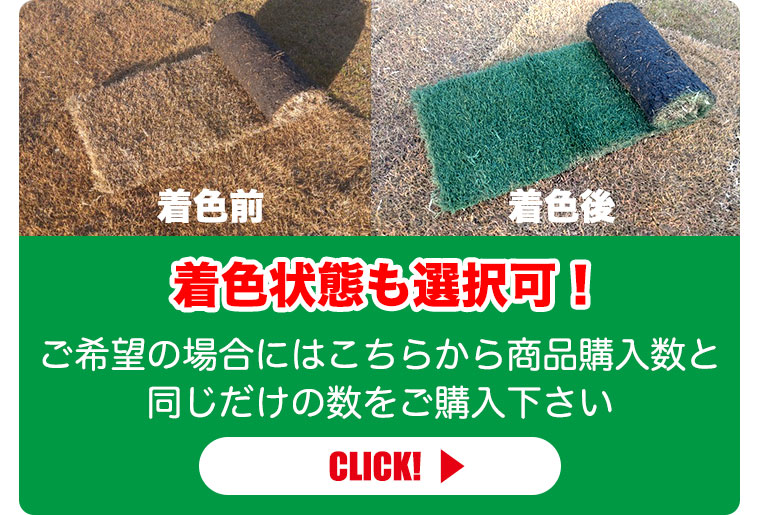 高麗芝の毎月の様子