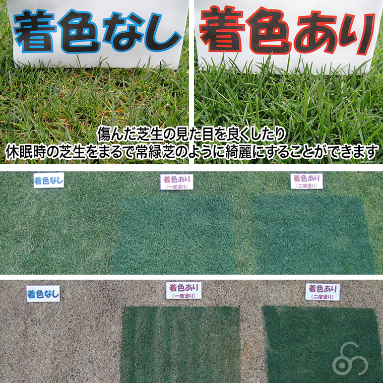 芝生用着色剤 エコストライプ 関連画像4