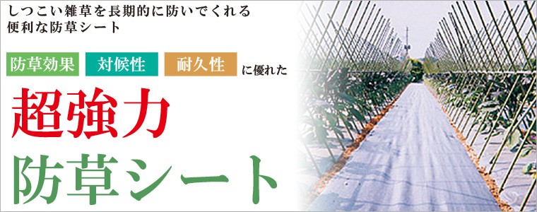 ぬかるみも キンボシ サンワショッピング - 通販 - PayPayモール 超強力防草シート(ブラック) 0.5m×100m巻 7220 してもほと - www.blaskogabyggd.is ぬかるみも キンボシ サンワショッピング - 通販 - PayPayモール 超強力防草シート(ブラック) 0.5m×100m巻 7220 してもほと - www.blaskogabyggd.is