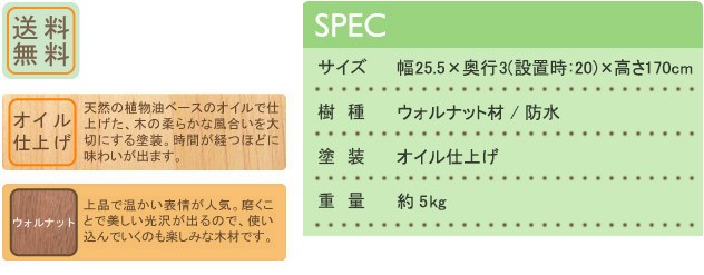 プレゼント付) コサイン cosine エントランスミラー ウォルナット MS