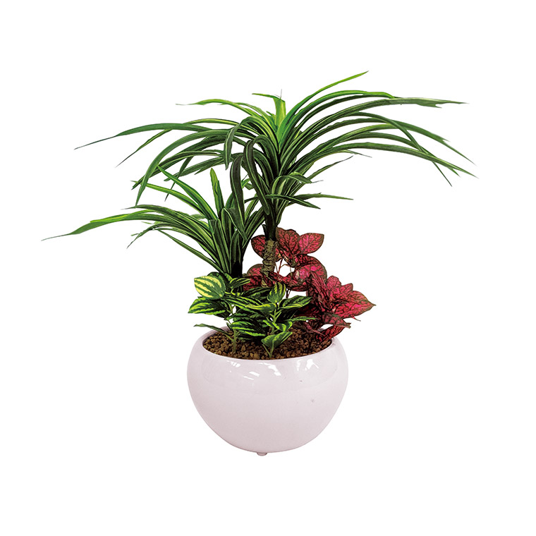 SC触媒加工 トロピカル寄せ植えポットユッカ（フェイクグリーン） FG1001 ギフト 贈り物 内祝い ギフト プレゼント お返し お歳暮 お中元 C195-040