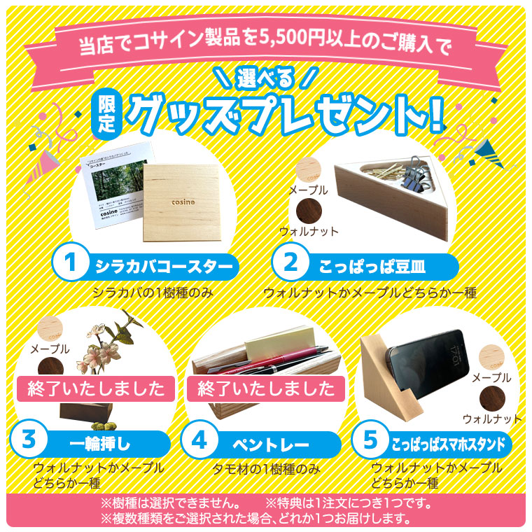 プレゼント付) コサイン cosine ドレスラック ワイド メープル DR