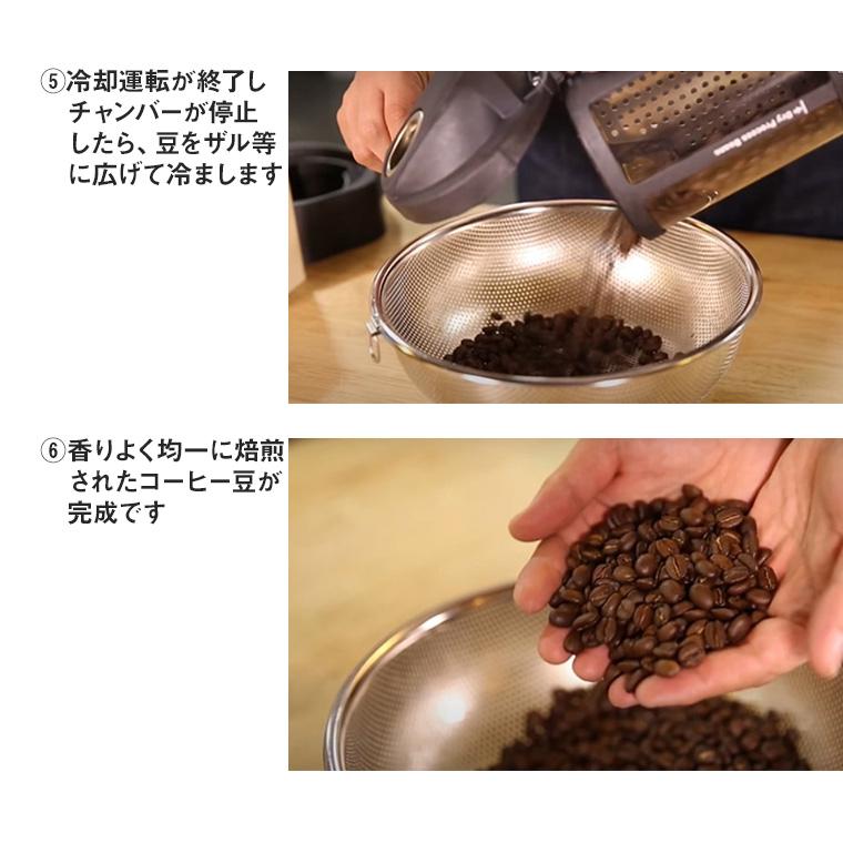 Gene Cafe Home Roaster ロースター 焙煎機 家庭用 小型 電動 コーヒー豆 珈琲 生豆 アロマ CRBR-101A｜sun-wa｜11