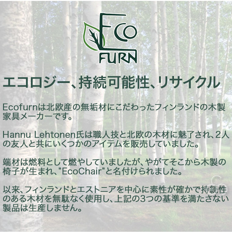 チェア 椅子 EcoFurn エコファーン エコチェア バーチ/アルダー ピローセット アウトドア キャンプ 庭 ベランダ サウナチェア 枕 クッション  ECOPILLOWSET : ecopillowset : サンワショッピング - 通販 - Yahoo!ショッピング