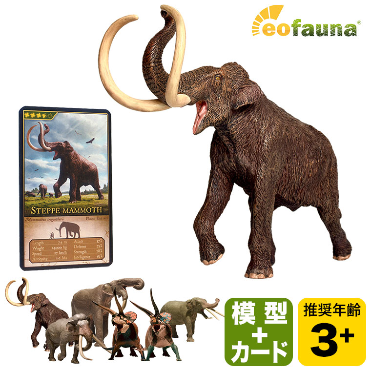 Eofauna ե ȥƥ꡼ ѥ쥪ɥ ǥΥƥꥦ ȥꥱȥץ Υ٥ɥ EO001 Ϸ ε ưʪ