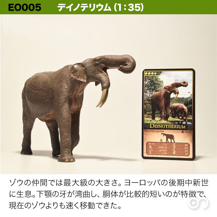 Eofauna エオファウナ トロゴンテリーゾウ パレオロクソドン