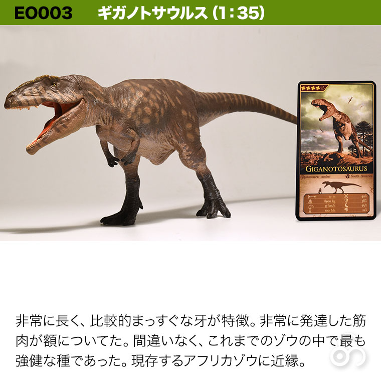 Eofauna 1/40 アトラサウルス 恐竜 模型フィギュアおもちゃプレゼント アトラサウルス（1：40）(Eofauna) - ジョブインターナショナル