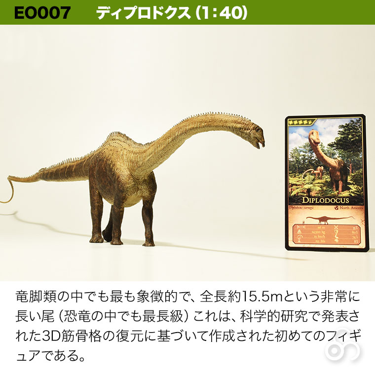 Amazon | Eofauna 1/40 サイズ ディプロドクス 梁竜 大きい 竜脚