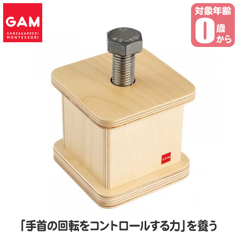 レビュー特典あり) GAM ねじ回し 1MM293 0歳 1歳 1歳半 モンテッソーリ
