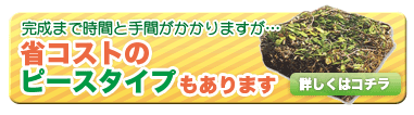 省コストのピースタイプはこちら