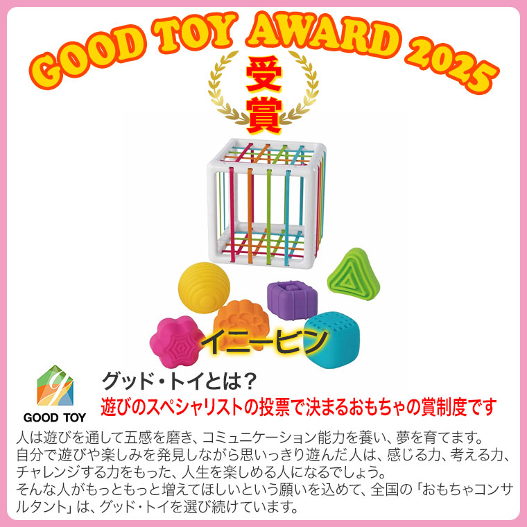 一歳 クリスマスプレゼント (2025 日本グッドトイ受賞) ドリーム