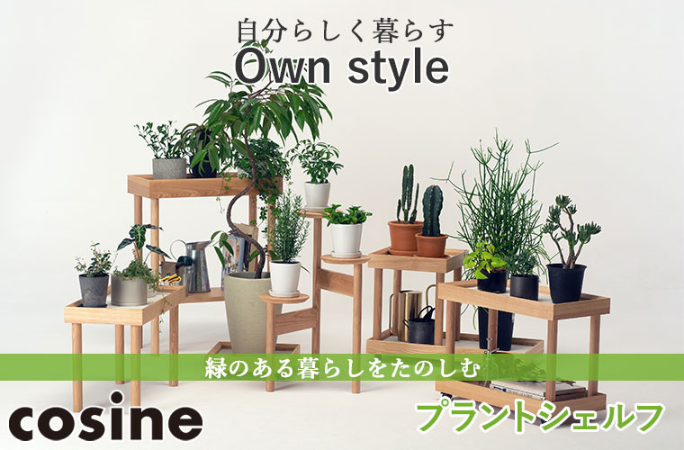 cosine（コサイン） (プレゼント付) プラントシェルフ GP-07CT 旭川