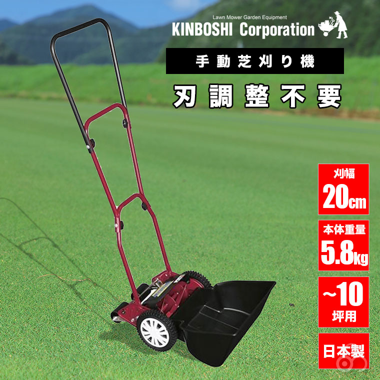 Amazon.co.jp: キンボシ(Kinboshi) ゴールデンスター 「安心