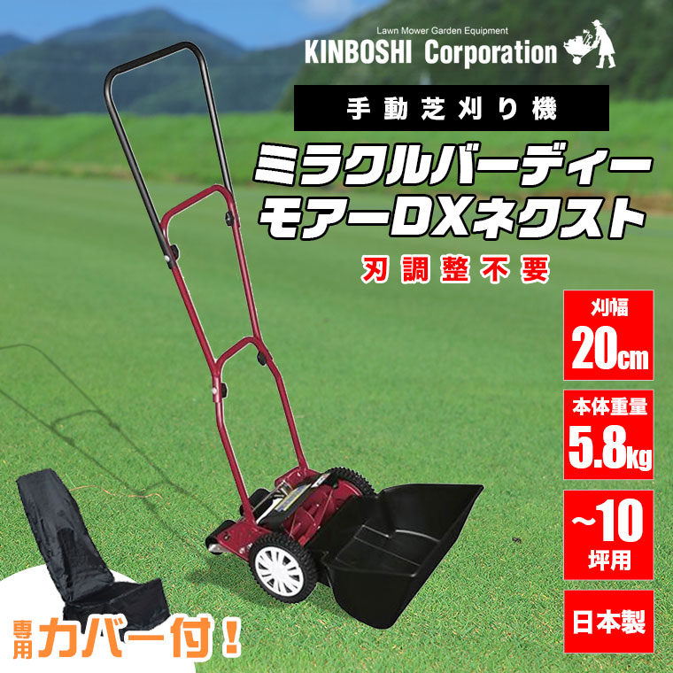 Amazon.co.jp: キンボシ(Kinboshi) 【日本製】ゴールデンスター