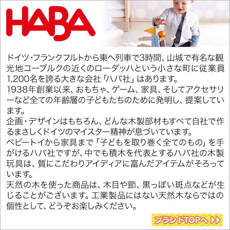 ハバ HAブロックス・プリズムセット HA3531 知育玩具 HABA 積み木 知育