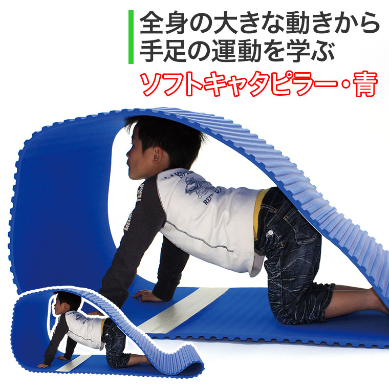 ソフトキャタピラー・青 HM38B 知育玩具 知育 おもちゃ モンテッソーリ 男の子 女の子_1