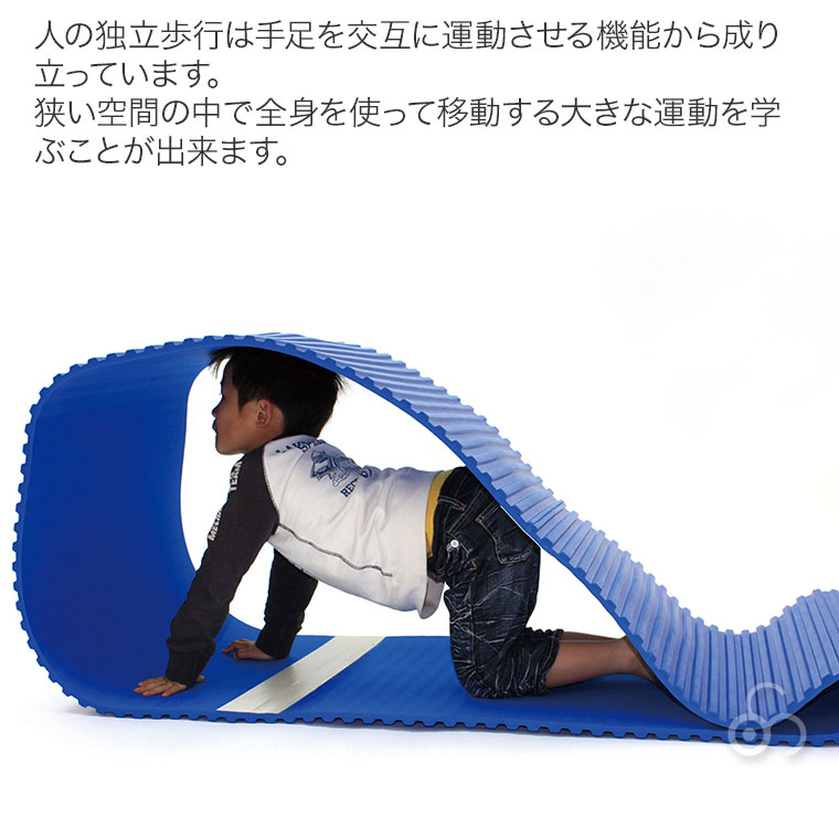 ソフトキャタピラー・青 HM38B 知育玩具 知育 おもちゃ モンテッソーリ 男の子 女の子_3