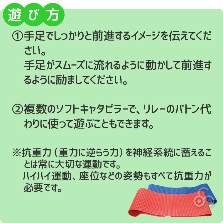 ソフトキャタピラー・青 HM38B 知育玩具 知育 おもちゃ モンテッソーリ 男の子 女の子_4