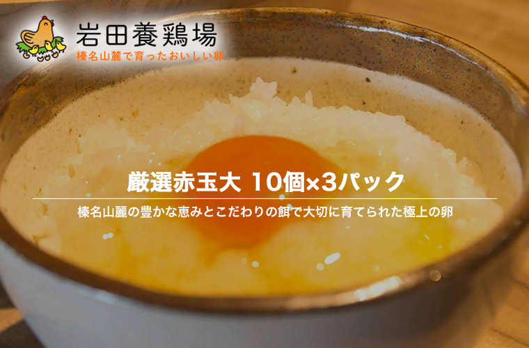 卵 産直 厳選赤玉大 30個入り(10個×3パック) 岩田養鶏場 岩田のおいしい卵 榛名 榛東村 送料無料