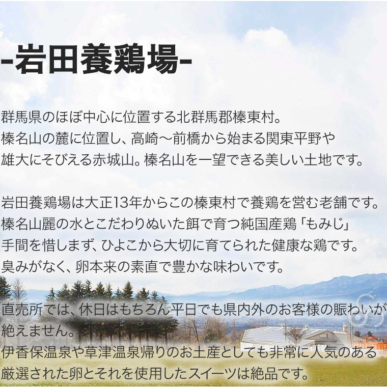 卵 産直 厳選赤玉大 30個入り(10個×3パック) 岩田養鶏場 岩田のおいしい卵 榛名 榛東村 送料無料