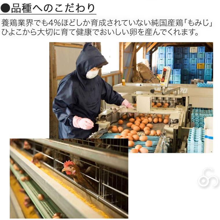 卵 産直 厳選赤玉大 30個入り(10個×3パック) 岩田養鶏場 岩田のおいしい卵 榛名 榛東村 送料無料