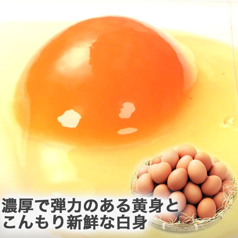 卵 産直 厳選赤玉大 80個入り 破卵保証10個含む 岩田養鶏場 岩田のおいしい卵 榛名 榛東村 送料無料