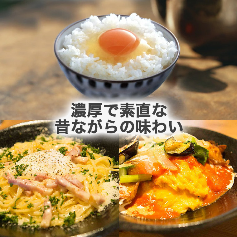 卵 産直 厳選赤玉大 80個入り 破卵保証10個含む 岩田養鶏場 岩田のおいしい卵 榛名 榛東村 送料無料