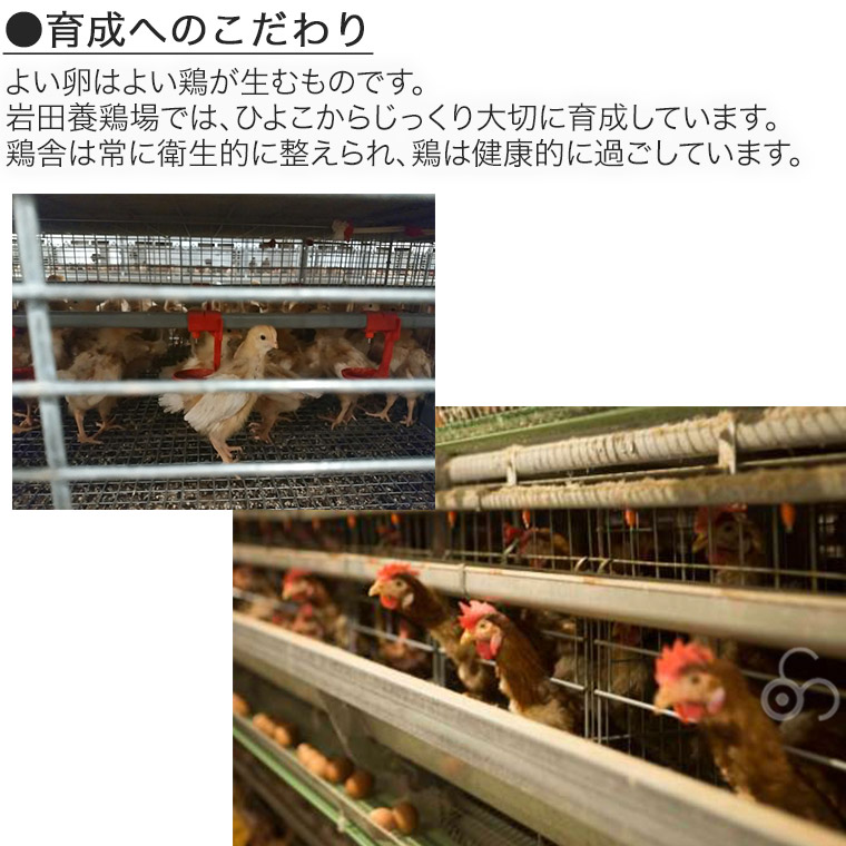 卵 産直 厳選赤玉大 80個入り 破卵保証10個含む 岩田養鶏場 岩田のおいしい卵 榛名 榛東村 送料無料