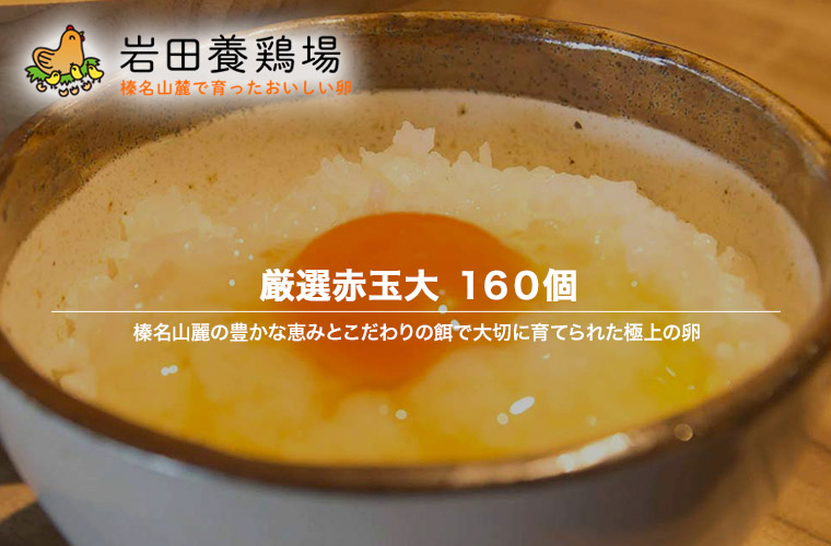 卵 産直 厳選赤玉大 160個入り 破卵保証20個含む 岩田養鶏場 岩田のおいしい卵 榛名 榛東村 送料無料