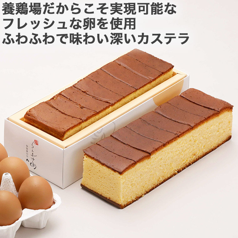 特製カステラ 2本入り 厳選赤玉大 10個入り 詰め合わせ 草原の琥珀 岩田養鶏場 岩田のおいしい卵 榛名 榛東村 送料無料