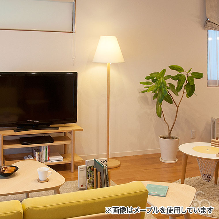 cosine（コサイン） (プレゼント付) フロアスタンド(丸) ウォルナット